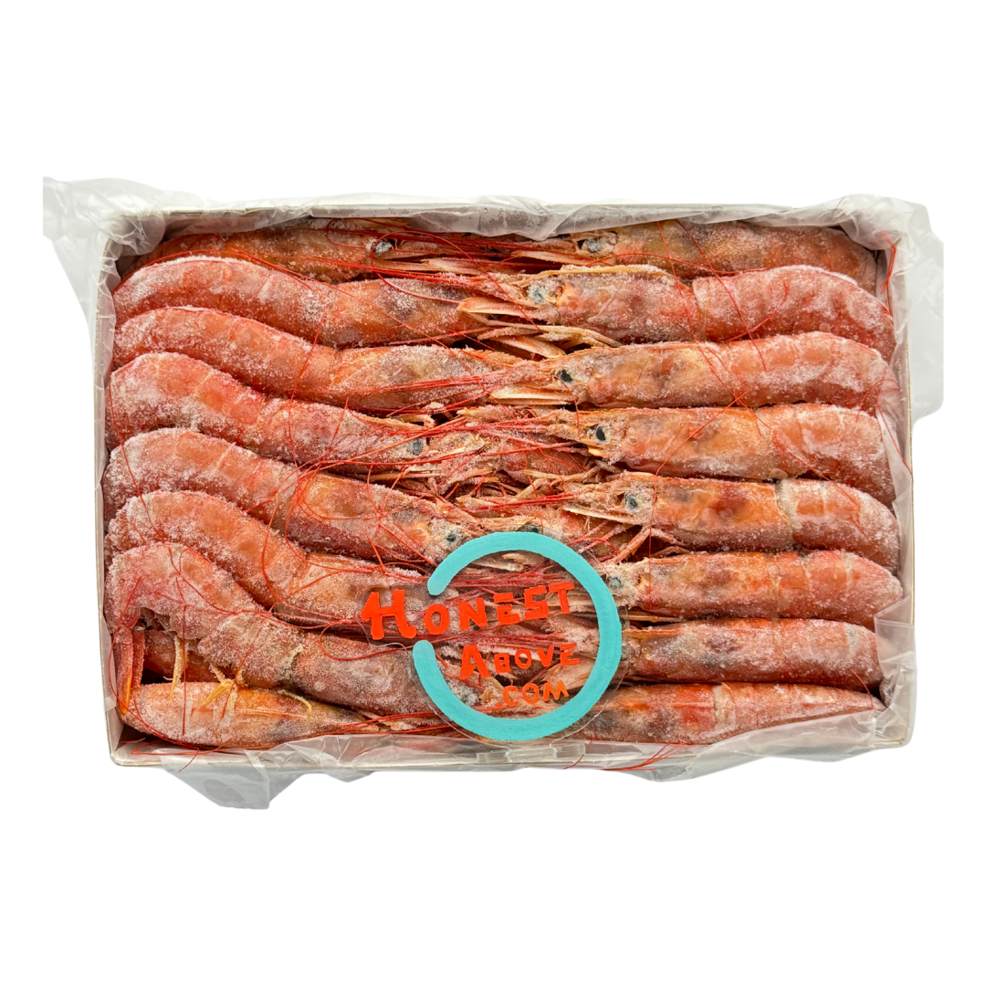 HonestAbove Aka Ebi Sashimi-Grade 2kg – premium sushi-grade red shrimp from Argentina, naturally sweet, silky texture, melt-in-your-mouth, perfect for sashimi, chirashi bowls, or light searing