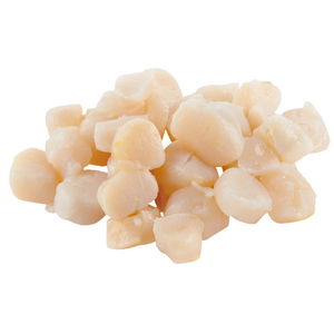 HonestAbove Bay Scallops 1kg pack (60–80pcs) – premium frozen scallops at affordable price in Singapore