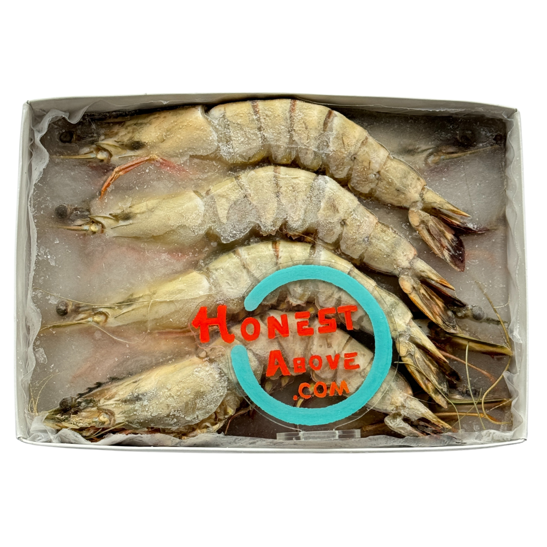 HonestAbove unpeeled jumbo tiger prawn – head-on, shell-on black tiger prawns from Vietnam, ocean-fresh sweetness, firm texture, perfect for grilling, butter garlic prawn, seafood stews or Asian-style cooking, 800g pack