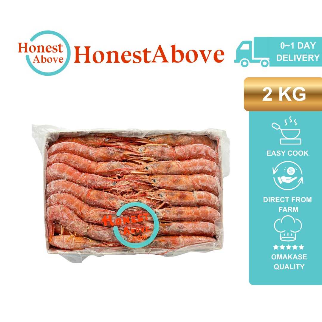 Aka Ebi | Sashimi-Grade | 2kg