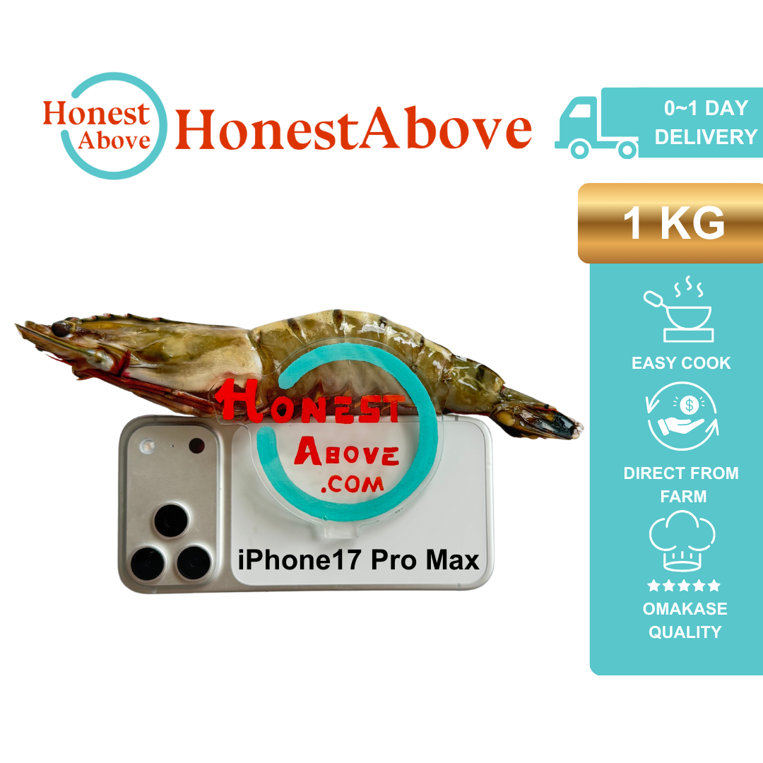 HonestAbove unpeeled jumbo tiger prawn – head-on, shell-on black tiger prawns from Vietnam, ocean-fresh sweetness, firm texture, perfect for grilling, butter garlic prawn, seafood stews or Asian-style cooking, 800g pack