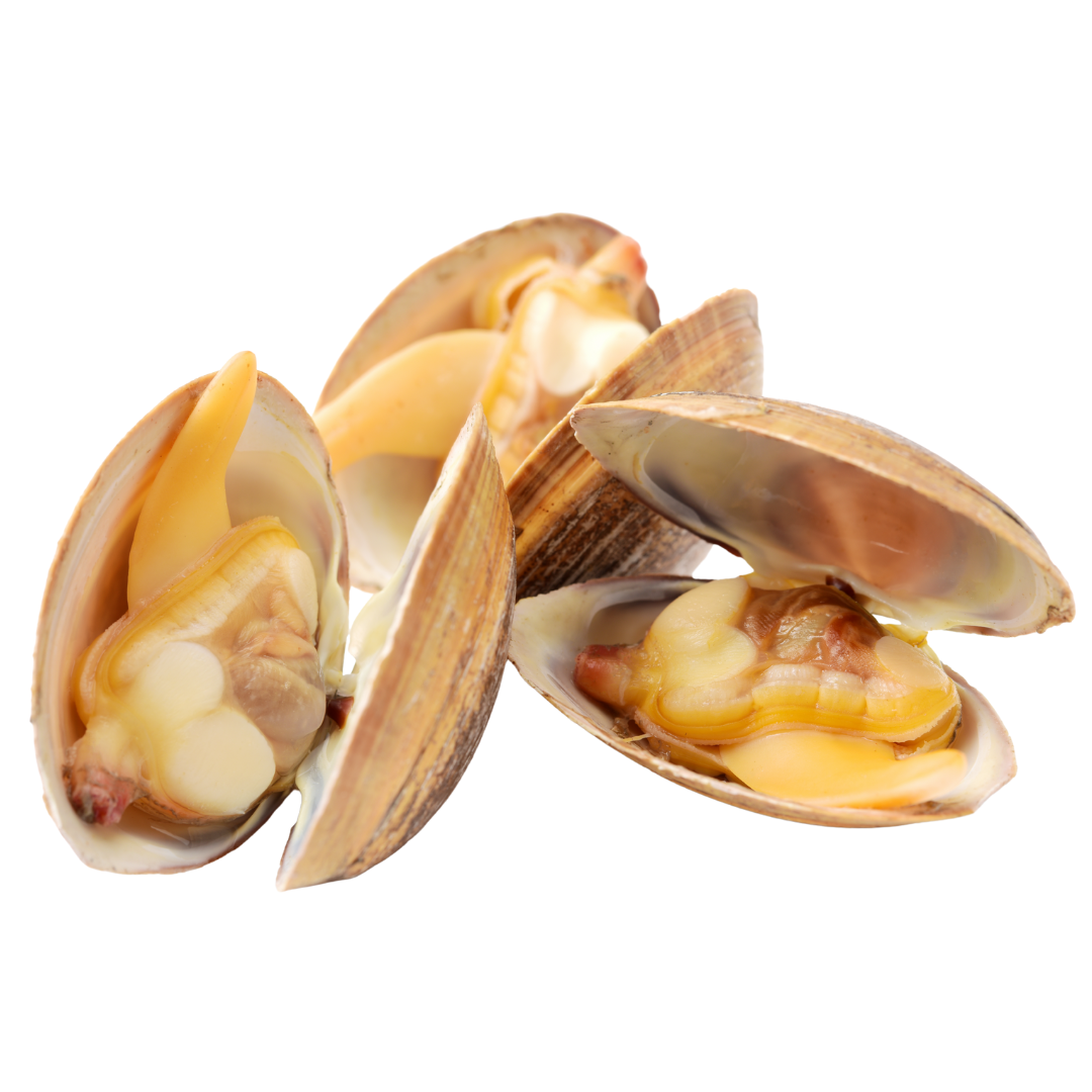 HonestAbove Japanese Asari Clam Miso Soup 500g – authentic Japanese miso soup with asari clams at affordable price in Singapore