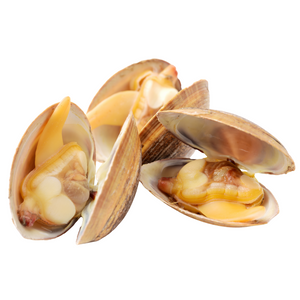 HonestAbove Japanese Asari Clam Miso Soup 500g – authentic Japanese miso soup with asari clams at affordable price in Singapore