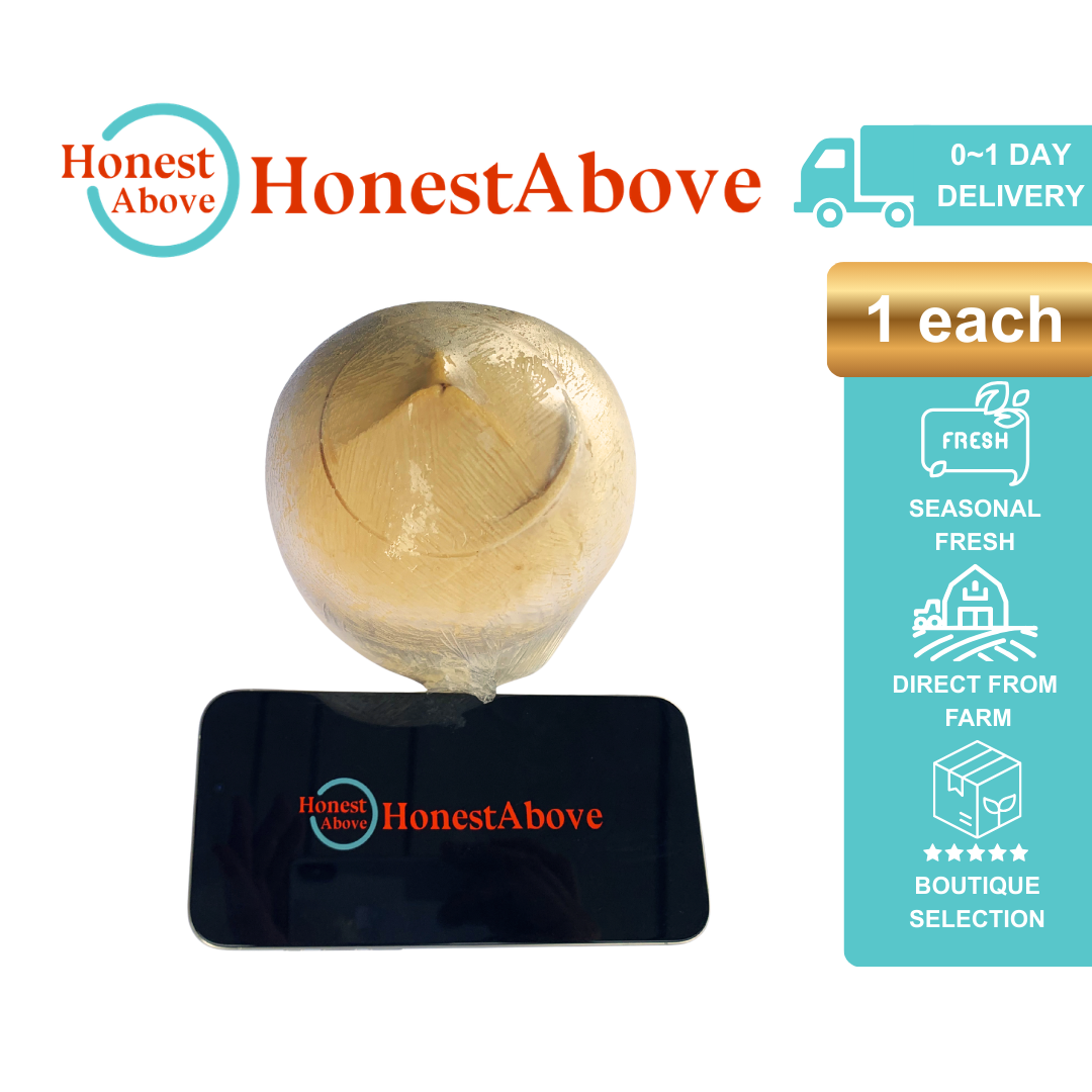 Thai Easy-Open Coconut | 1 each